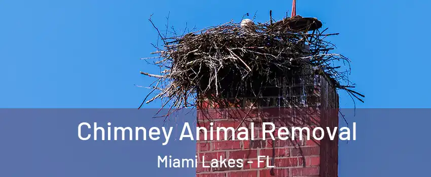  Chimney Animal Removal Miami Lakes - FL