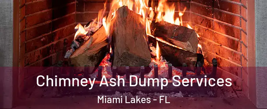  Chimney Ash Dump Services Miami Lakes - FL