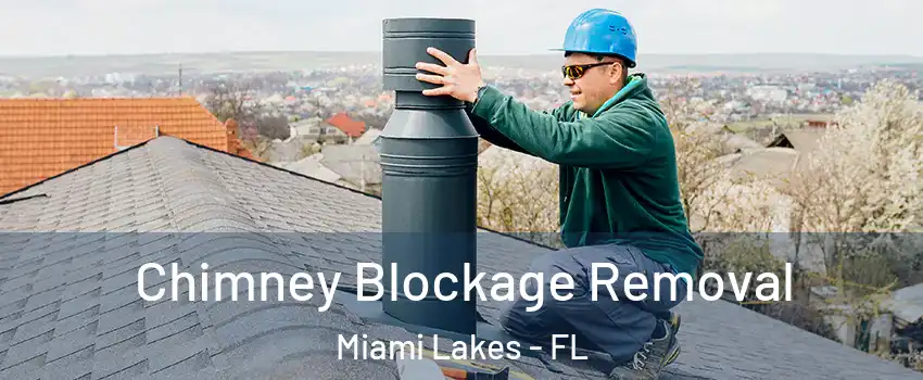  Chimney Blockage Removal Miami Lakes - FL