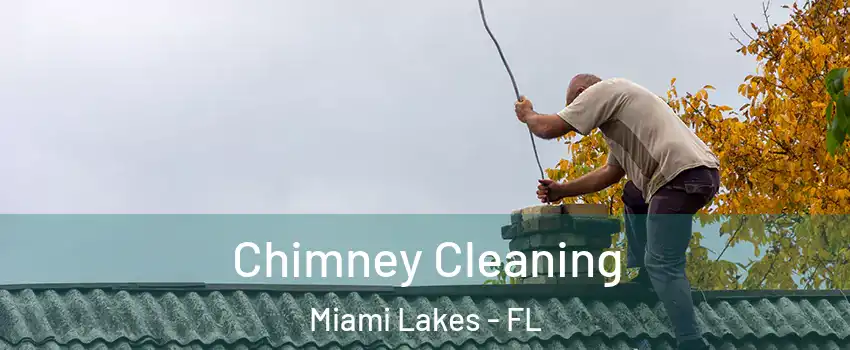  Chimney Cleaning Miami Lakes - FL