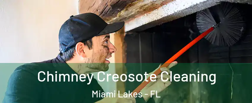  Chimney Creosote Cleaning Miami Lakes - FL