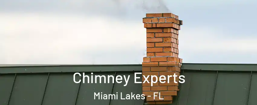  Chimney Experts Miami Lakes - FL