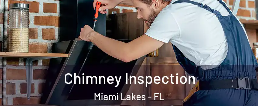  Chimney Inspection Miami Lakes - FL