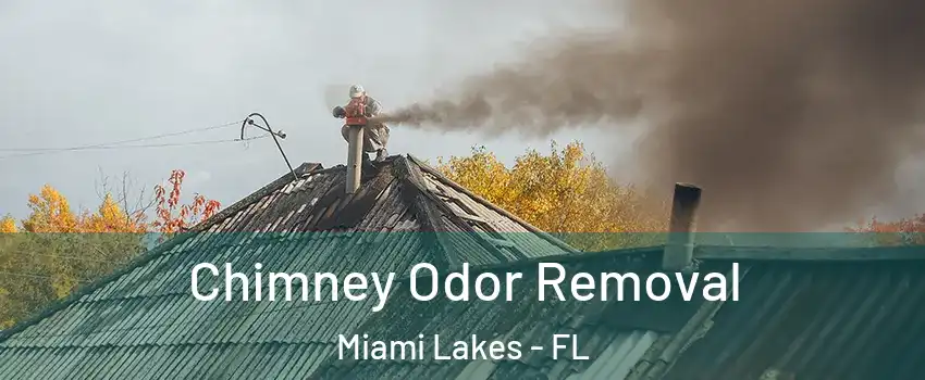  Chimney Odor Removal Miami Lakes - FL