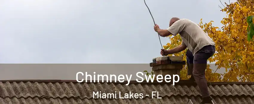  Chimney Sweep Miami Lakes - FL