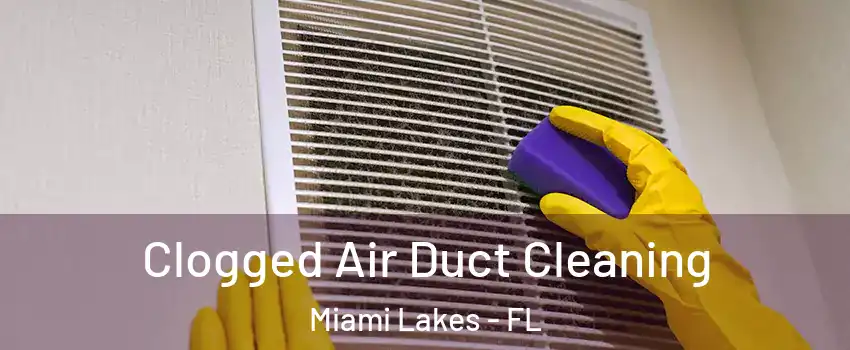 Clogged Air Duct Cleaning Miami Lakes - FL