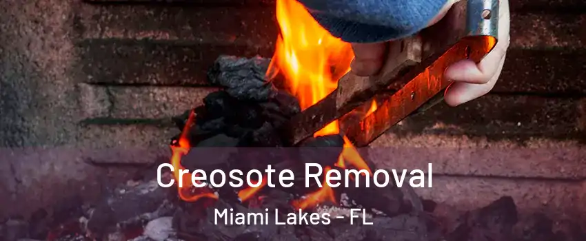  Creosote Removal Miami Lakes - FL