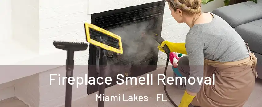  Fireplace Smell Removal Miami Lakes - FL