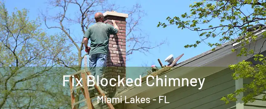  Fix Blocked Chimney Miami Lakes - FL