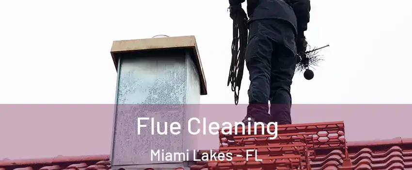  Flue Cleaning Miami Lakes - FL