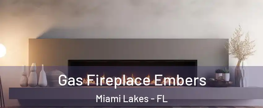 Gas Fireplace Embers Miami Lakes - FL