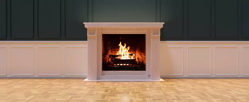 Napoleon Electric Fireplaces Inspection Service in Miami Lakes, Florida