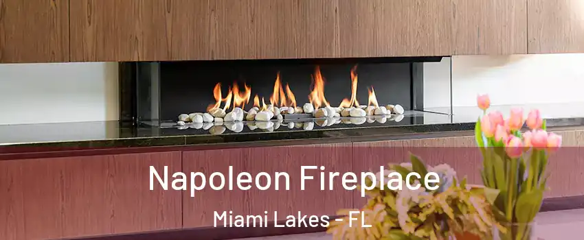  Napoleon Fireplace Miami Lakes - FL