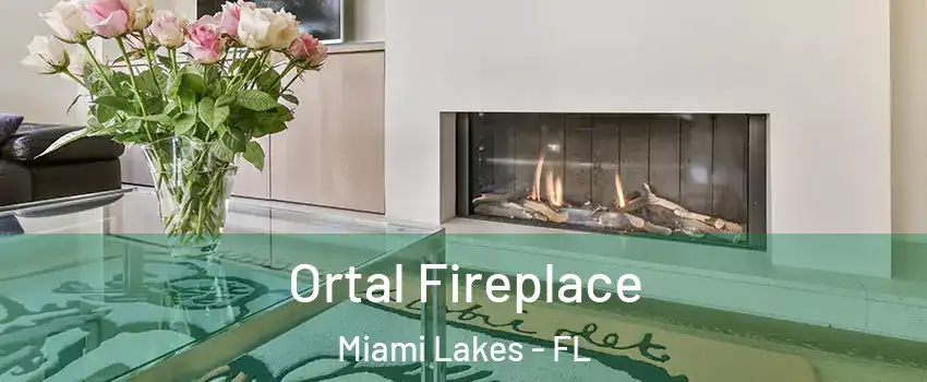  Ortal Fireplace Miami Lakes - FL
